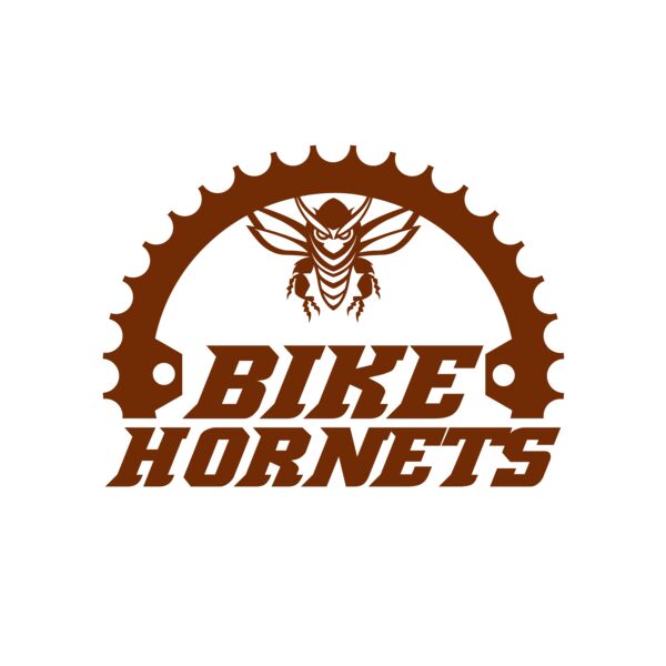 Bicycle 50 Miniatura