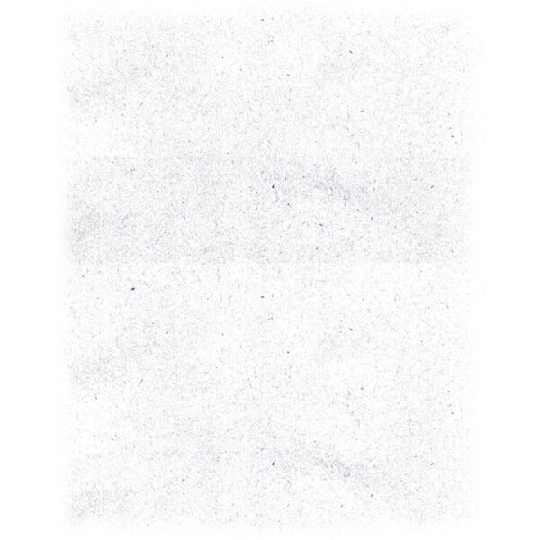 Poppy new9 Miniatura